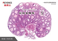 BZ-X 系列 不需要暗室的一体化荧光显微成像系统 应用案例集 Vol.5